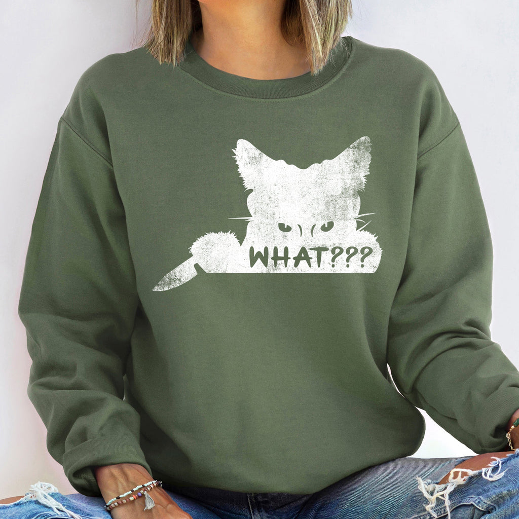 What??? Cat Vintage Halloween Cozy Fleece Feline Graphic Autumn Nights Sweatshirt